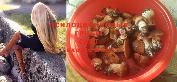 наркотики Алексин